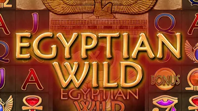 egyptian wild